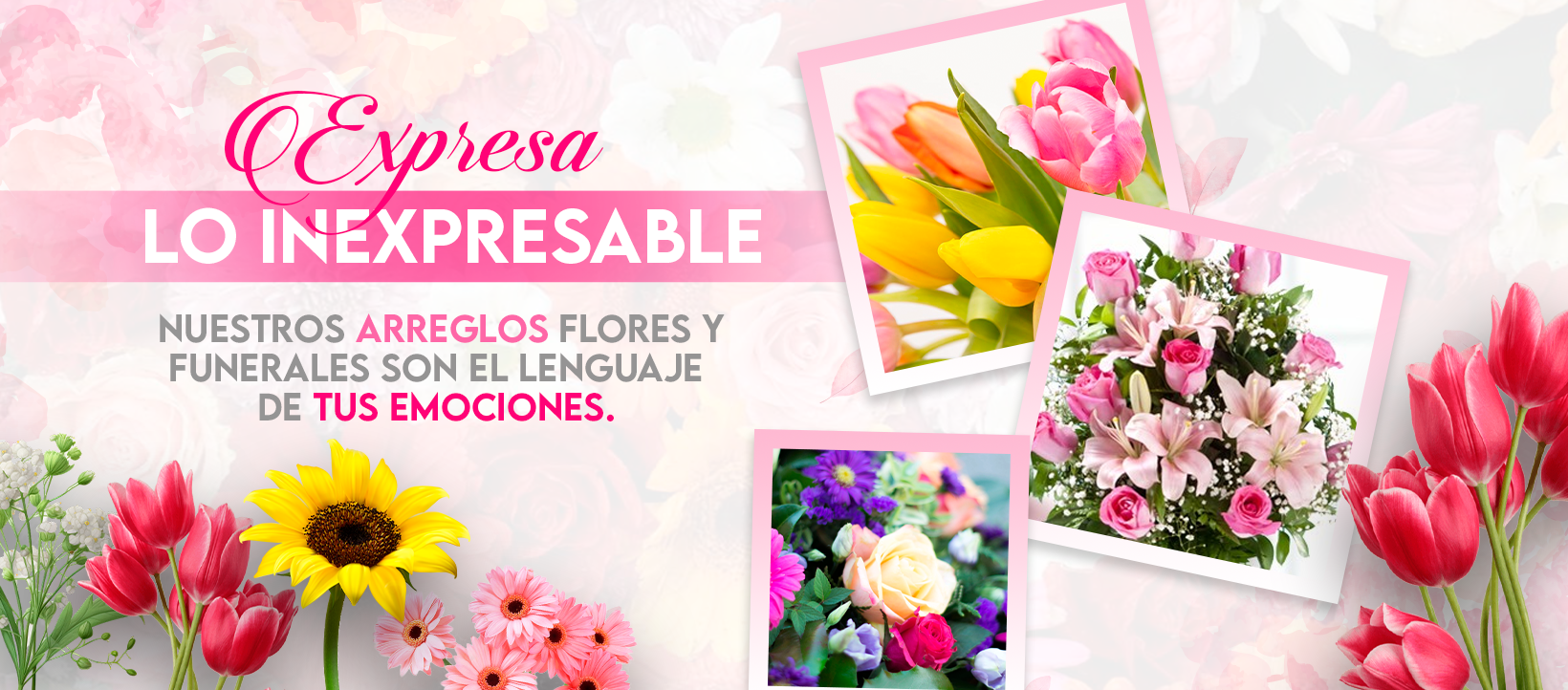 slider image 1621243260e1af0c20-2