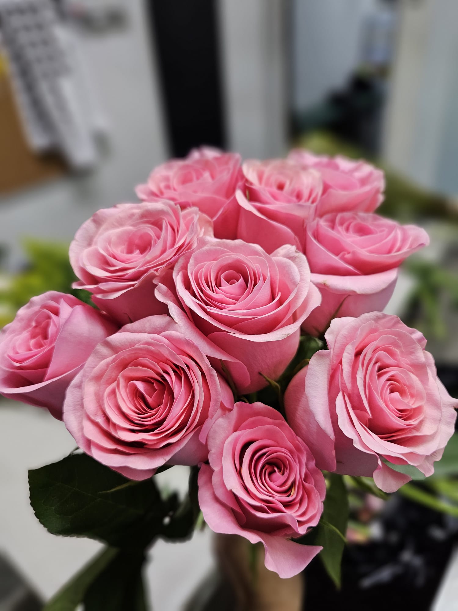 ROSAS ROSADAS