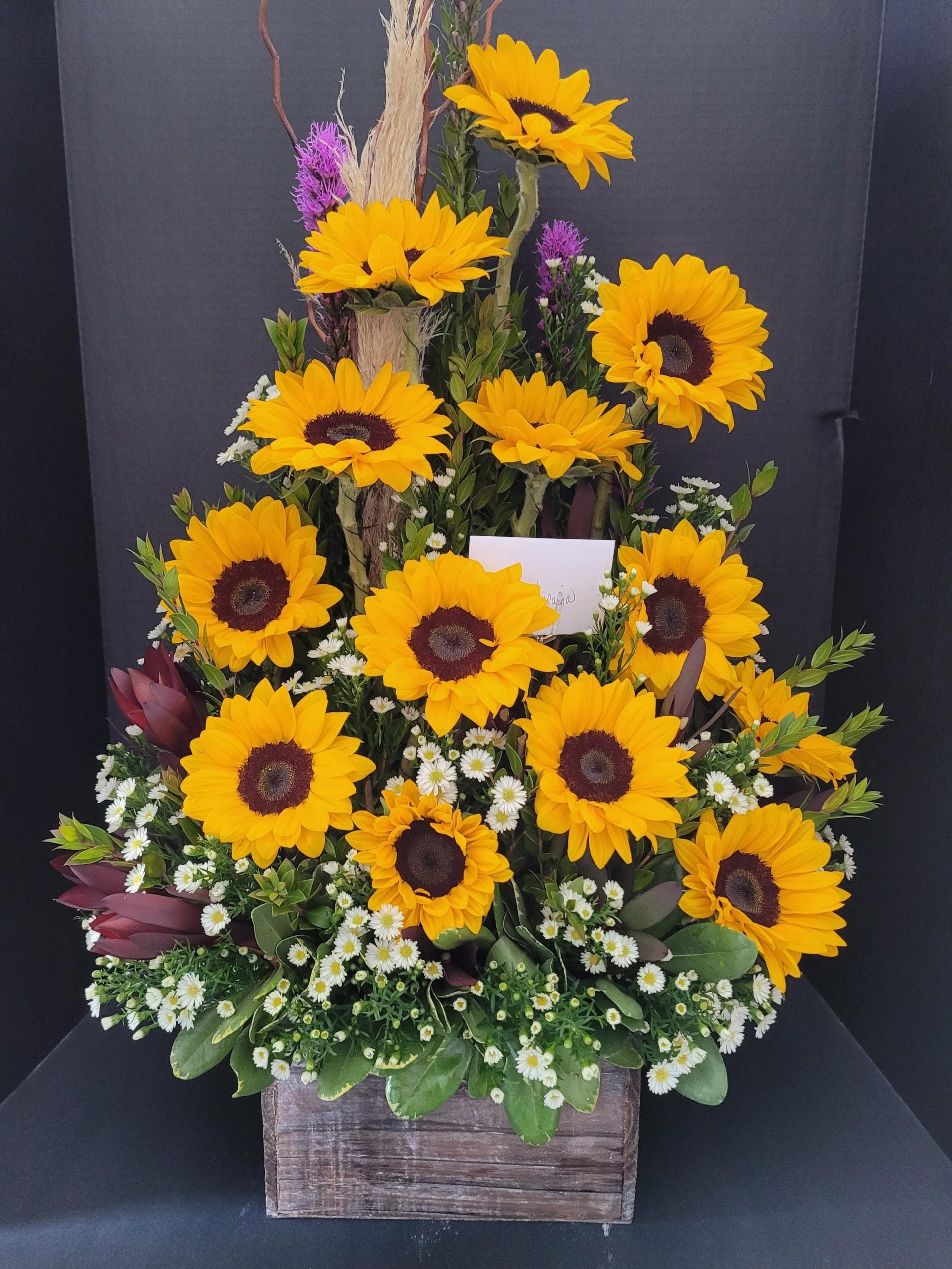 2011 JARDIN DE GIRASOLES